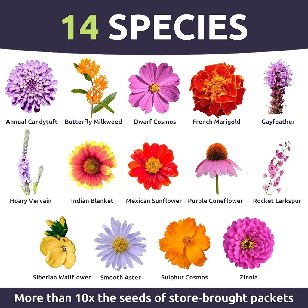 Monarch Butterfly Rescue Mix