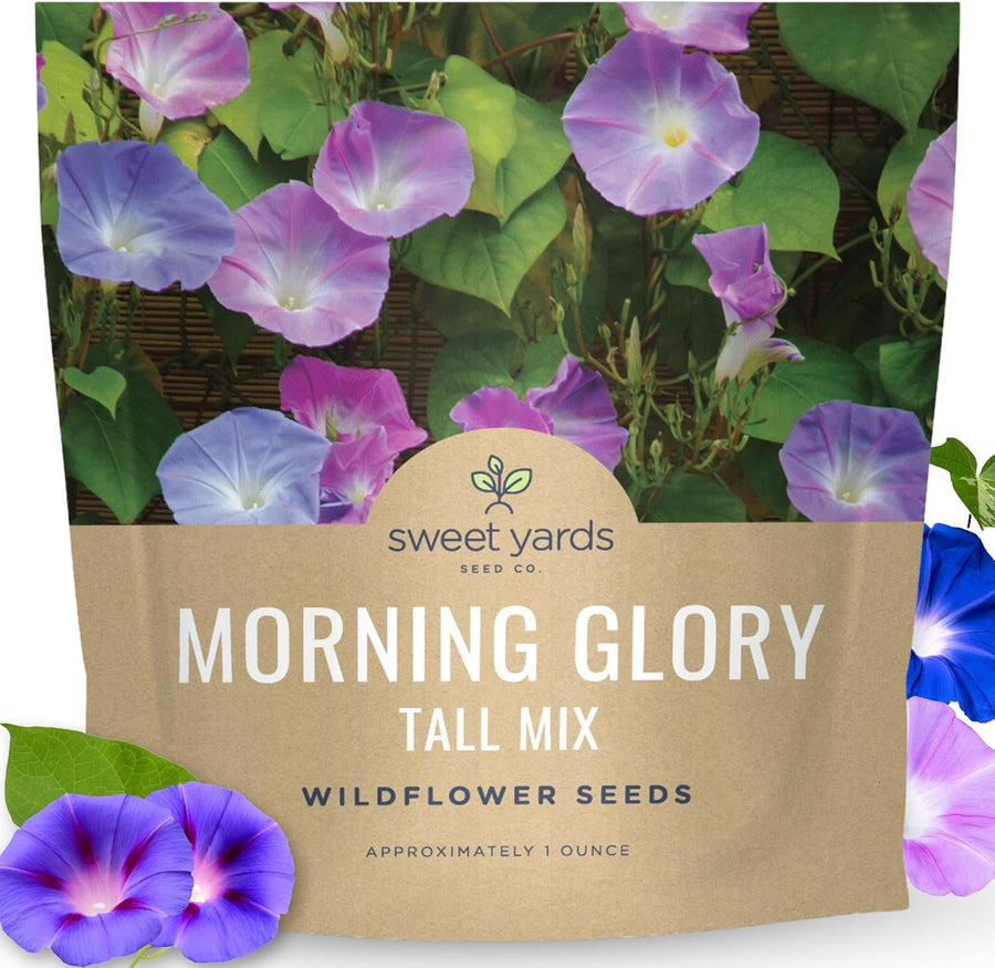 Morning Glory Tall Mix