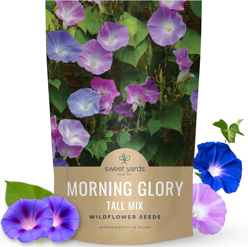 Morning Glory Tall Mix