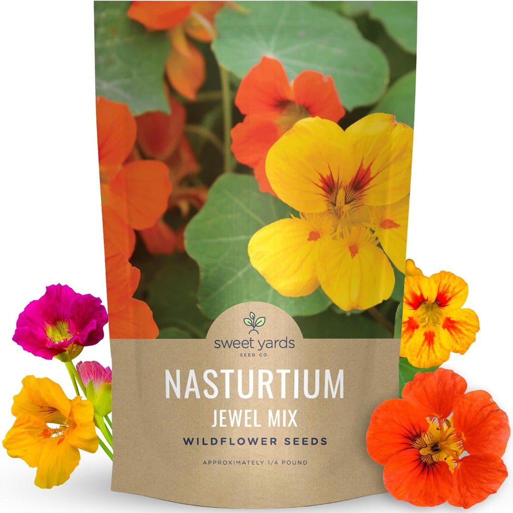 Nasturtium Jewel Mix