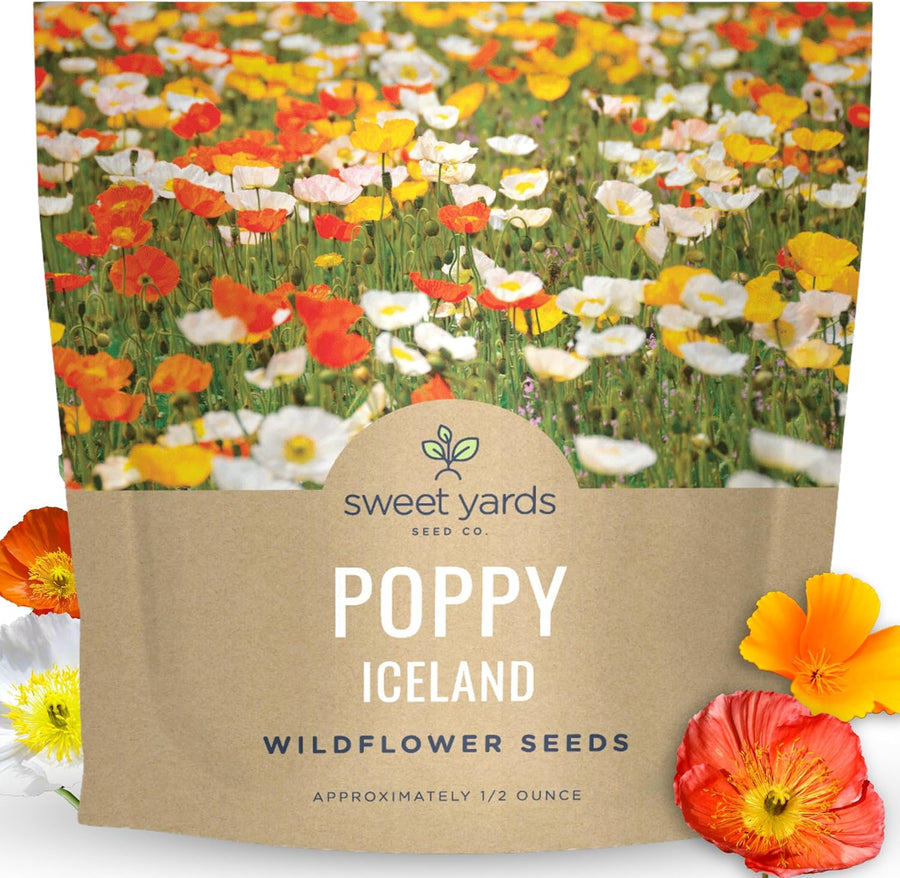 Poppy - Iceland