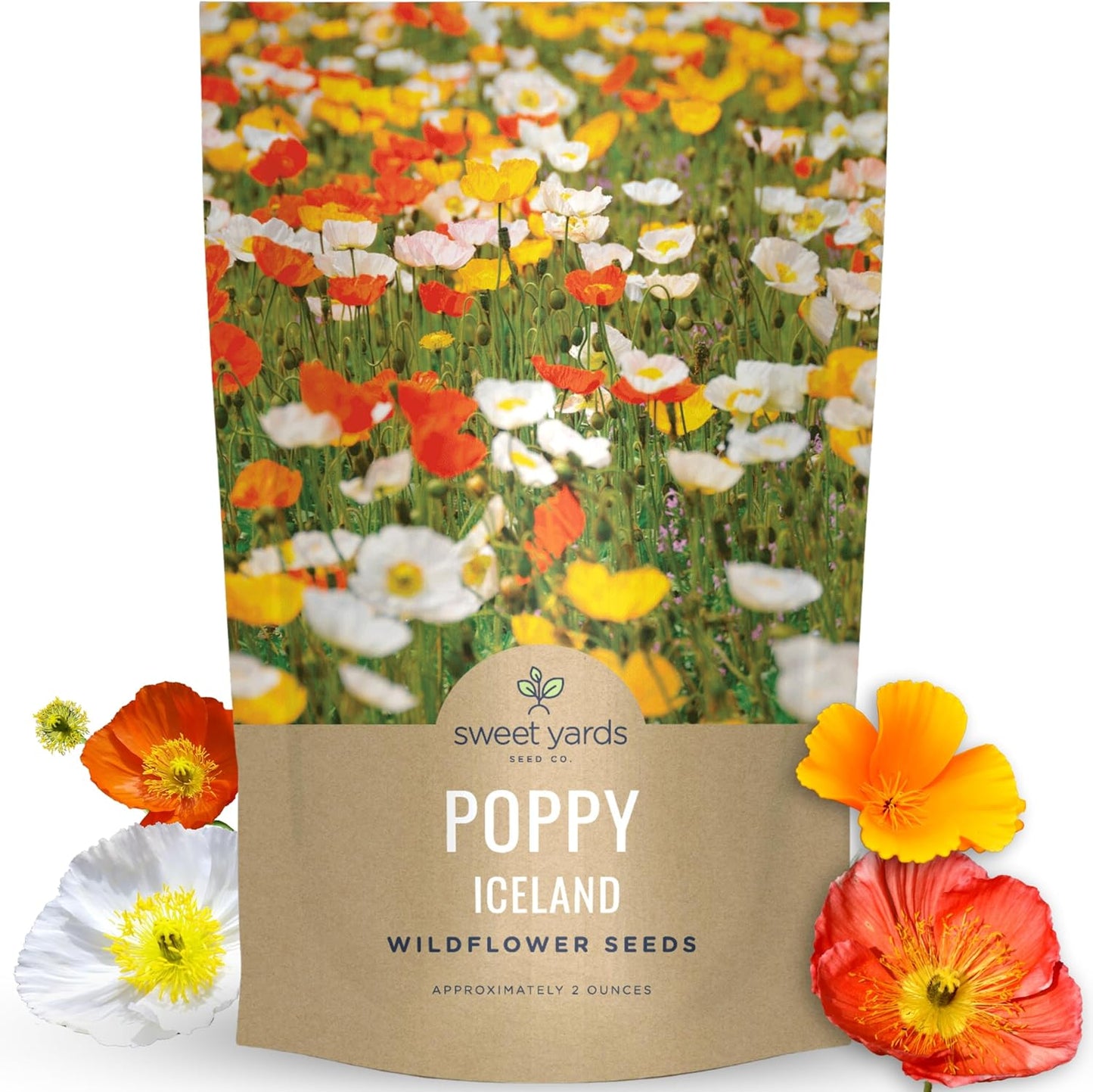Poppy - Iceland
