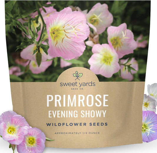 Primrose Evening Showy