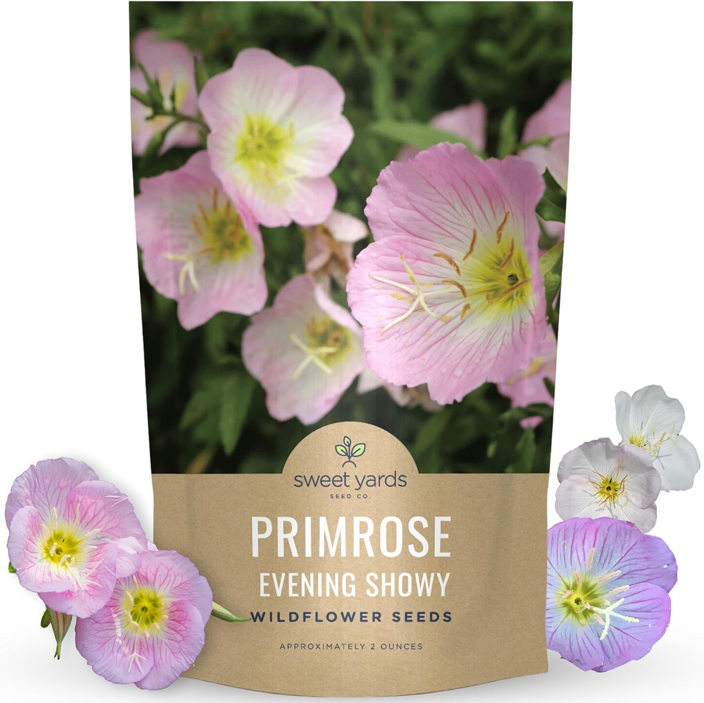 Primrose Evening Showy
