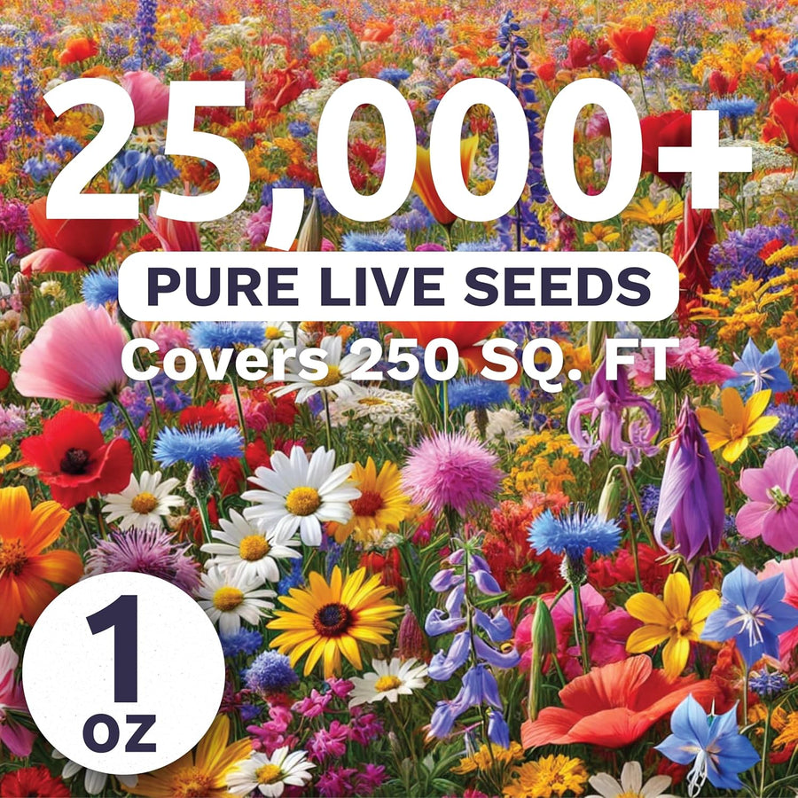 Rocky Mountain Regional Mix