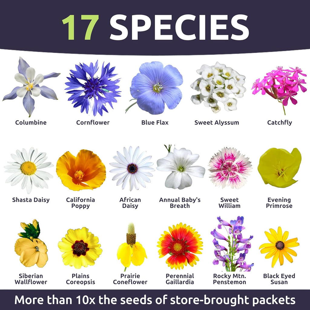 Rocky Mountain Regional Mix