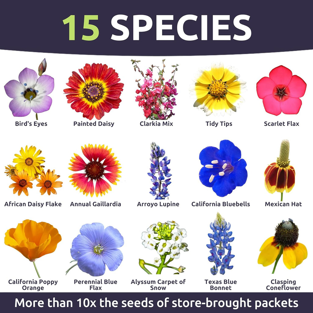 Southwest Regional Mix