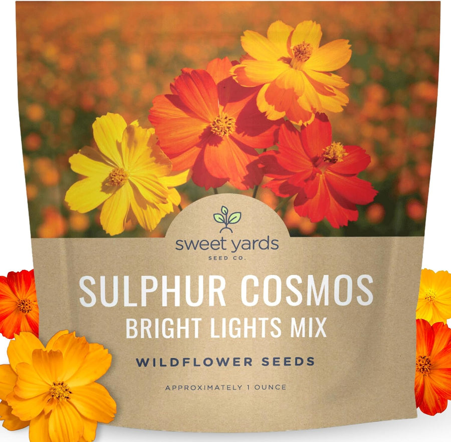 Sulphur Cosmos - Bright Lights Mix