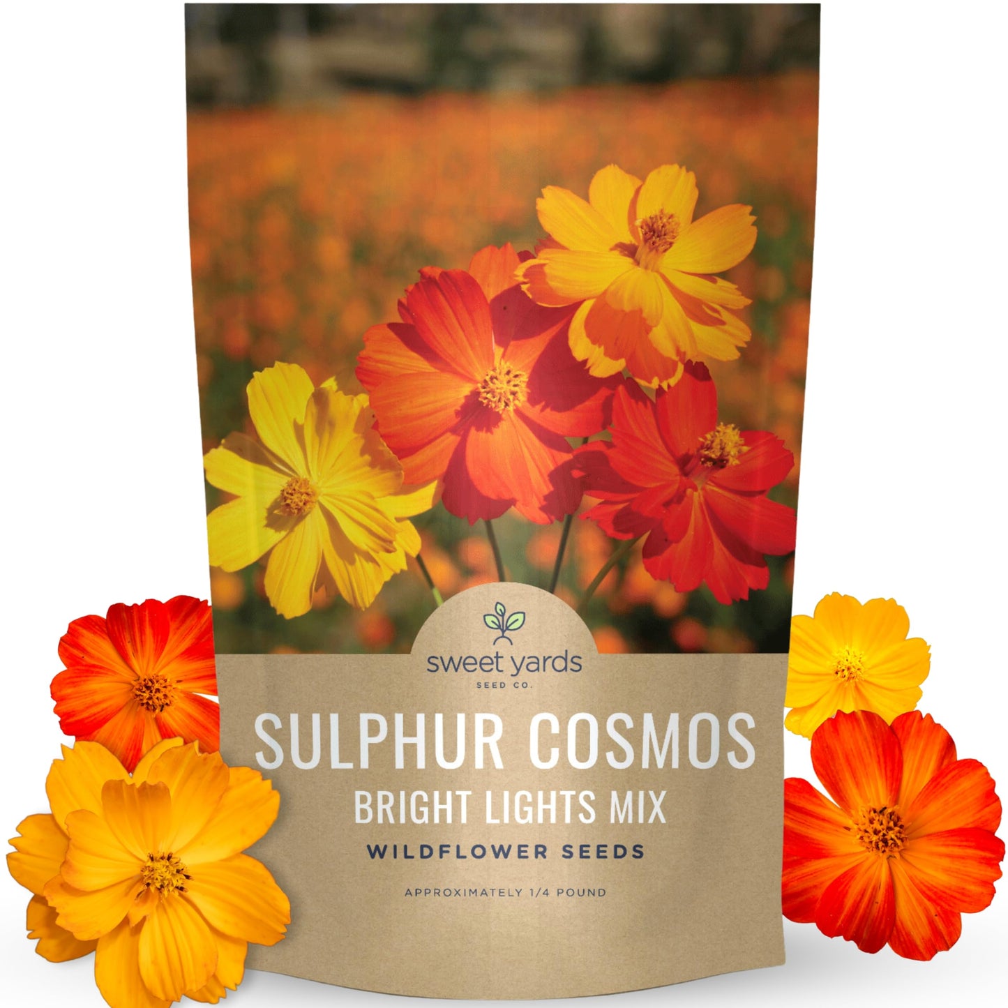 Sulphur Cosmos - Bright Lights Mix