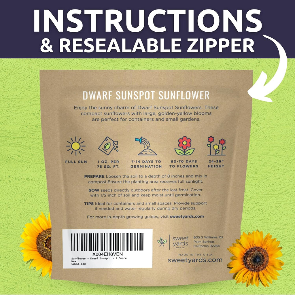 Dwarf Sunspot Sunflower