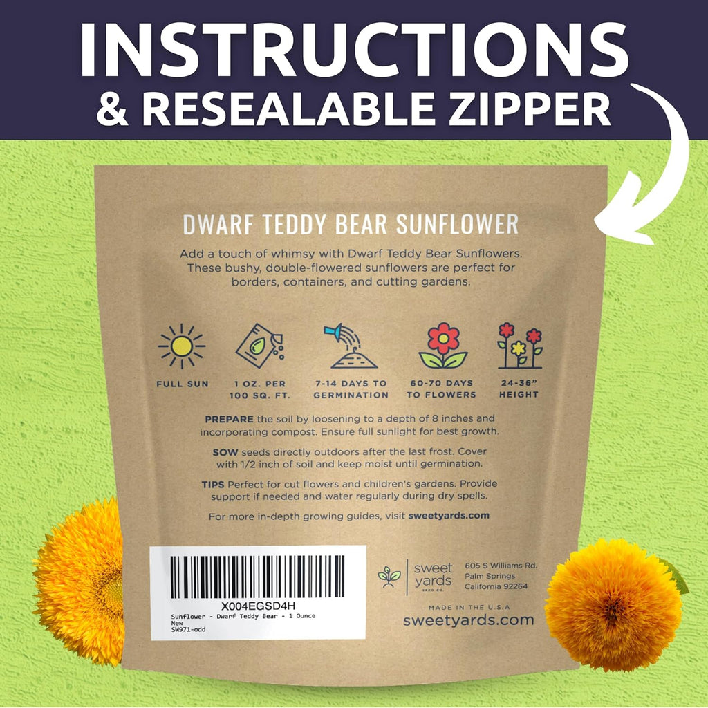 Dwarf Teddy Bear (Sungold) Sunflower