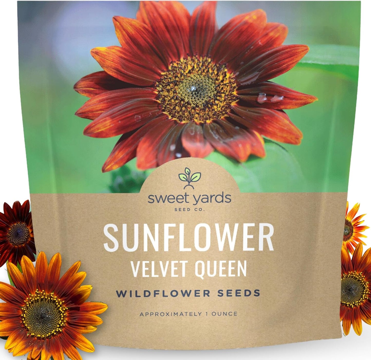 Velvet Queen Sunflower