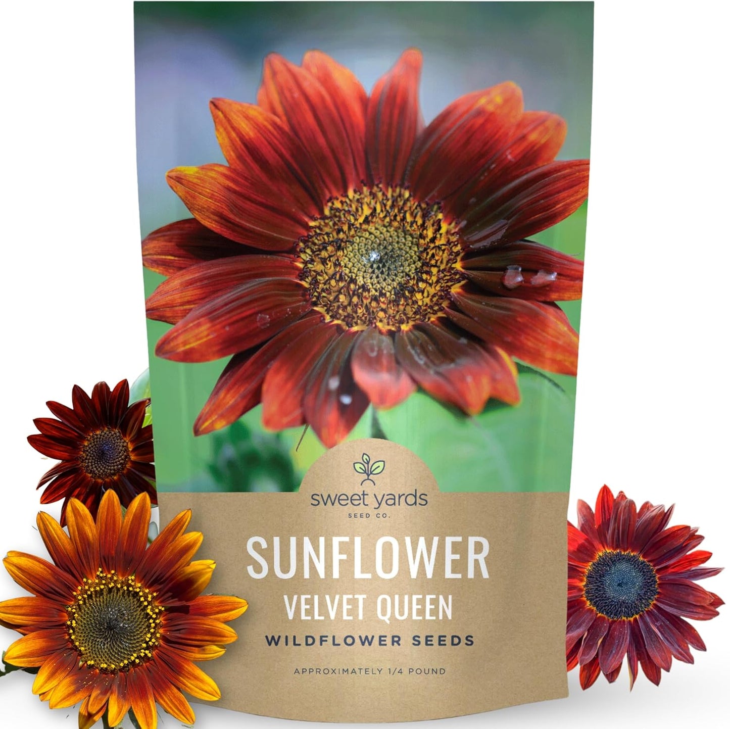 Velvet Queen Sunflower
