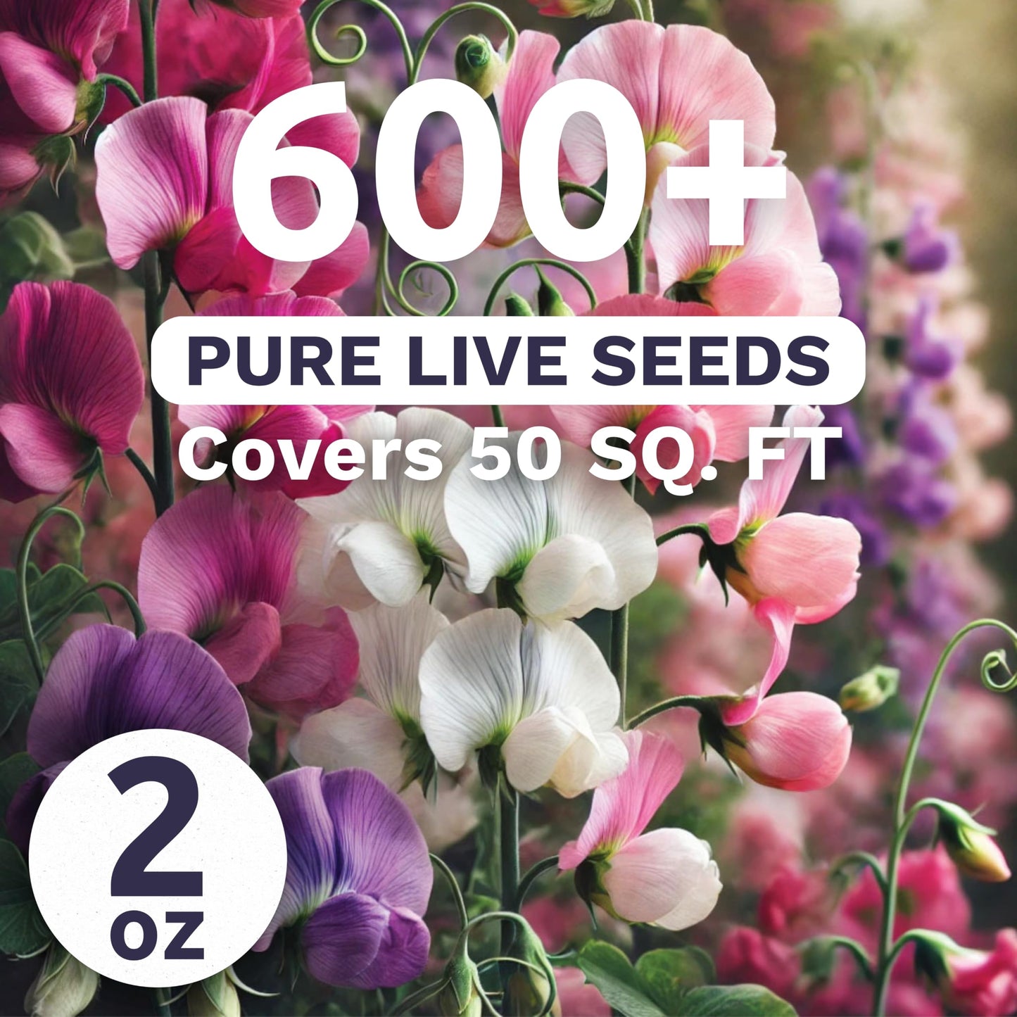 Sweet Pea Knee High