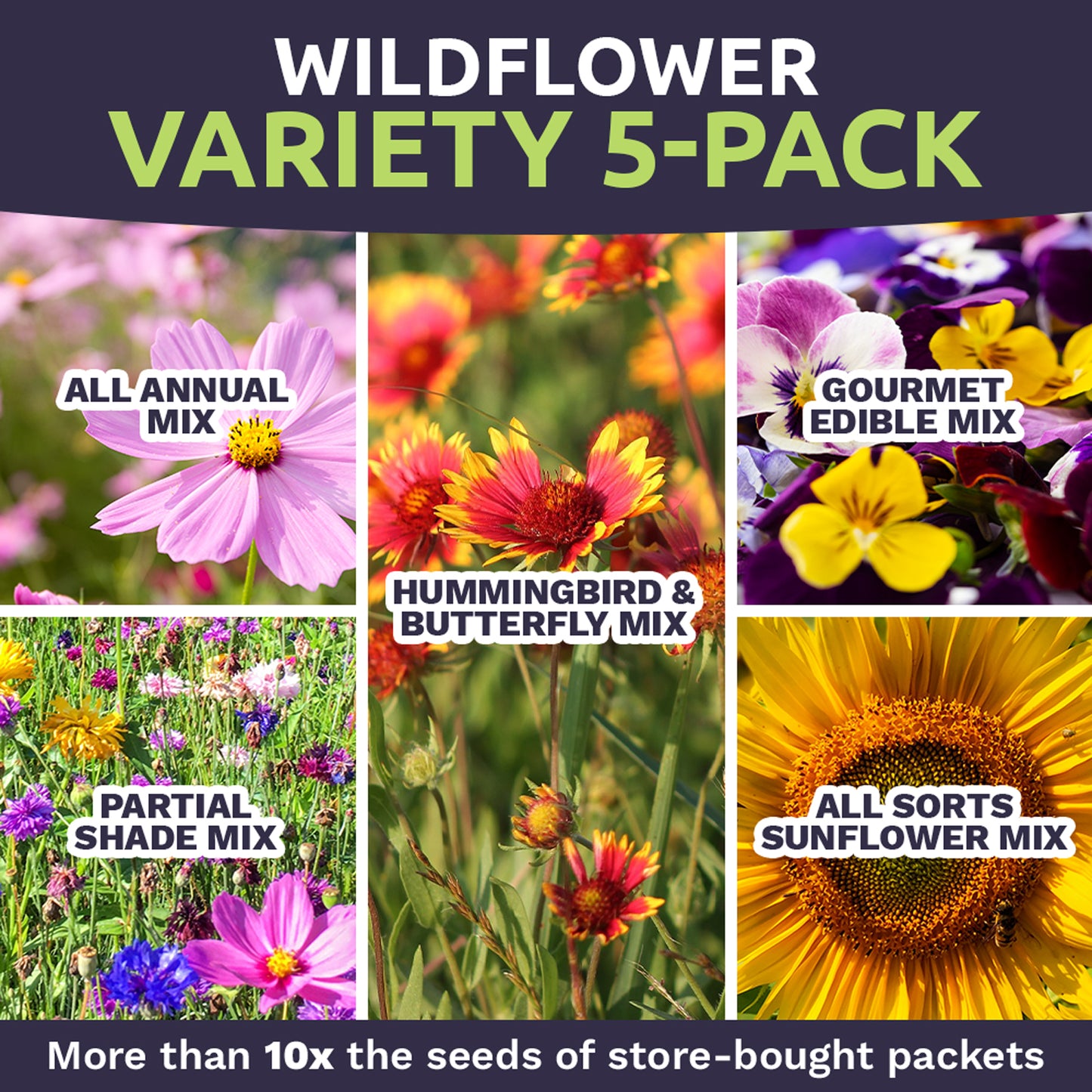 Wildflower Seed Mix Variety Pack – Sweet Yards