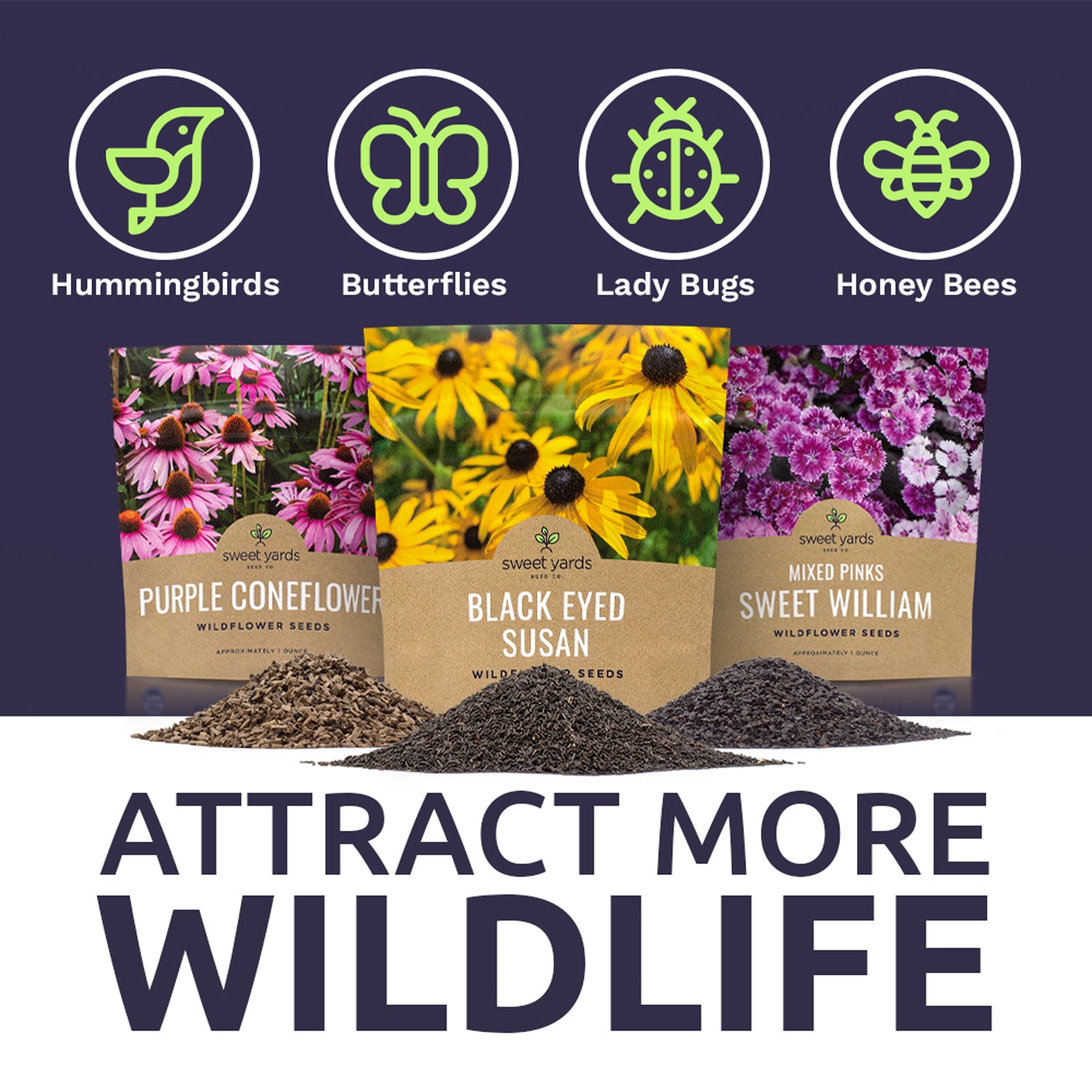 Bulk Perennial Wildflower Seeds Variety Pack - 3 Packets – Sweet Yards