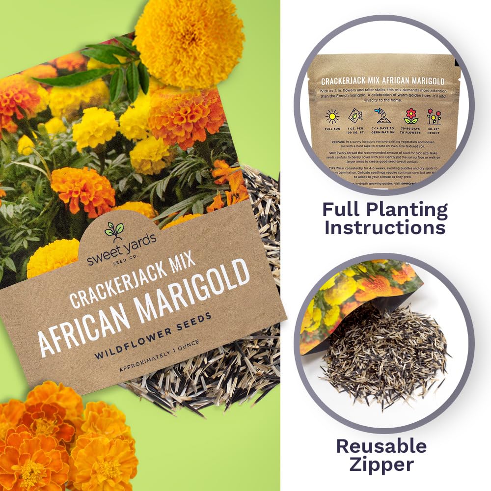 marigold crackerjack seeds African Marigold Crackerjack Seed Mix – Sweet Yards