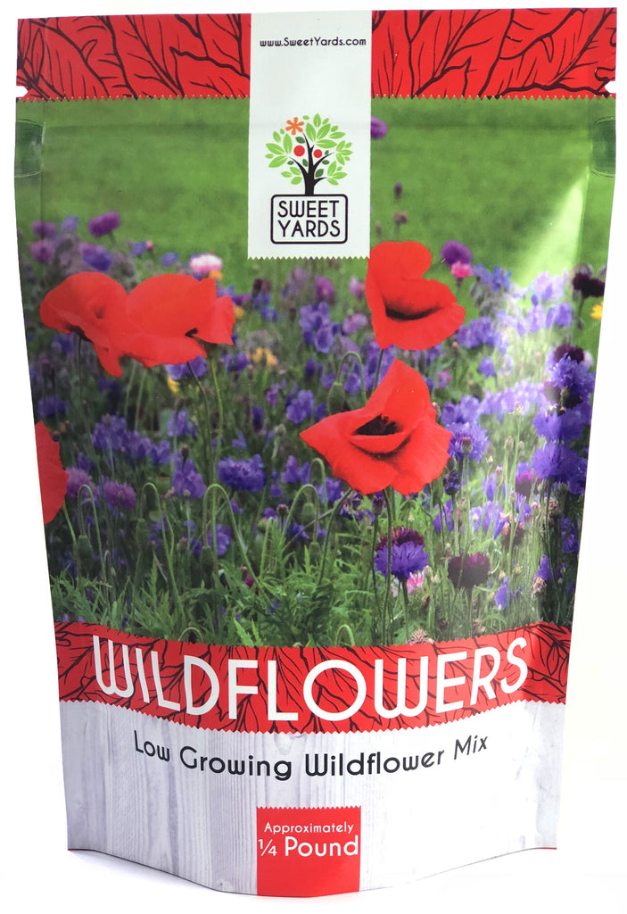 Low Growing Wildflower Blend